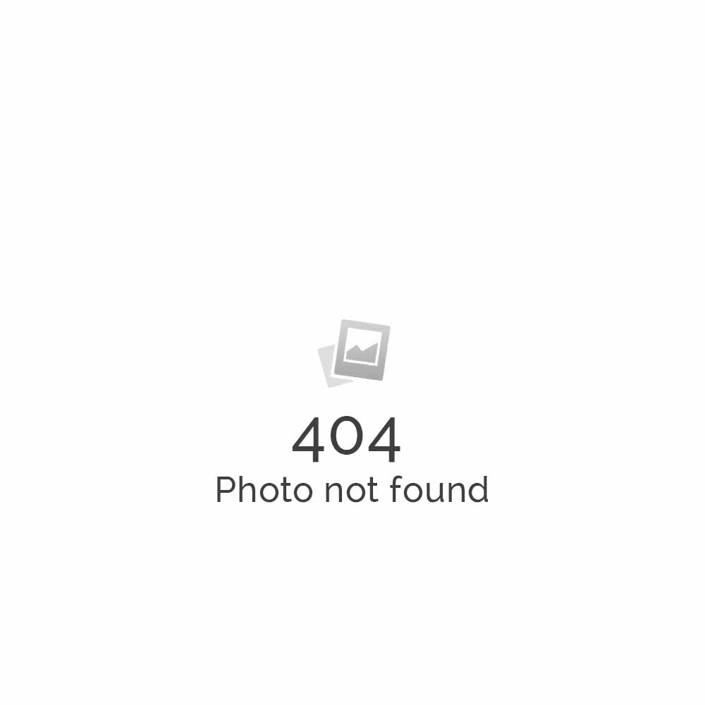 Hauptmenü WordPress Hauptmenü